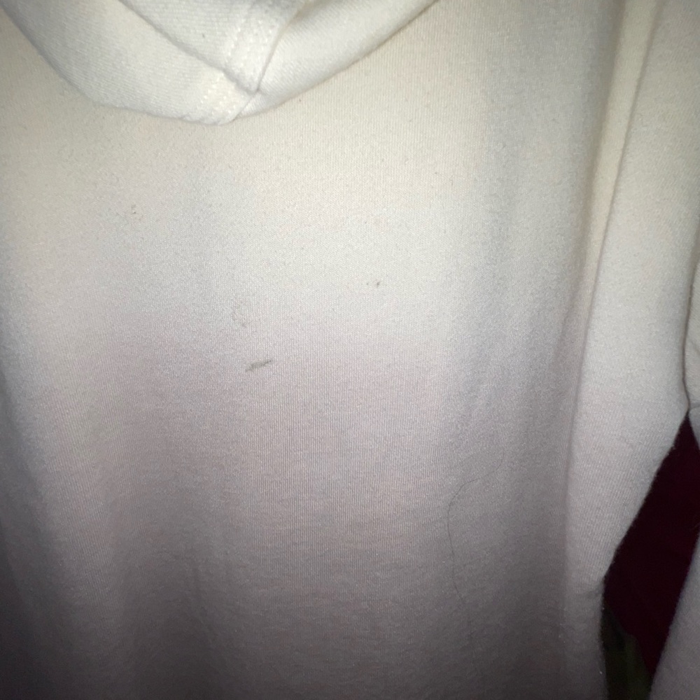 Champion hoodie